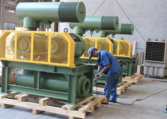 10" 80kpa 71.52m3/Min 132kw Ferro fundido Three Lobe Roots Blower