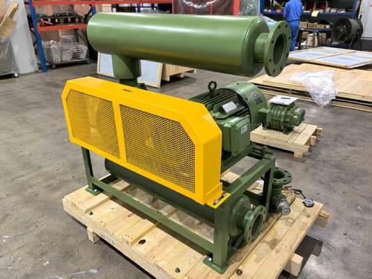 Bomba de vácuo Roots, modelo BV10034, com dimensões de entrada e saída DN350, para capacidade de vácuo em diversas indústrias