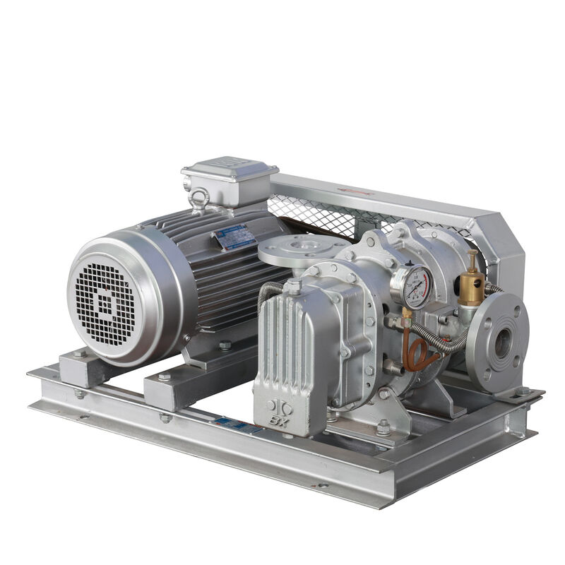 BX100 4' 3,18-11.74 m3/min 0,1-0,7 kgf/cm2 BX Série de aço inoxidável Roots Blower