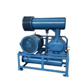 Roots Blower Vacuum Pump Model BV10034 with Inlet and Outlet Dimension DN350 for Vacuum Air Capacity in Various Industries